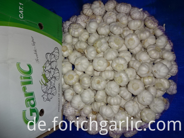 New Crop Pure White Garlic